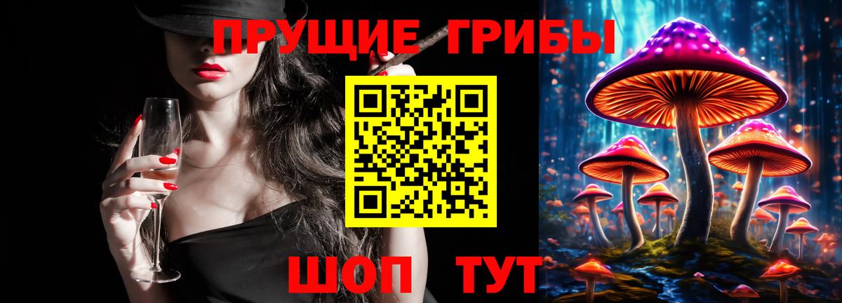 Людиново  Псилоцибиновые грибы Psilocybe  Вход с VPN 