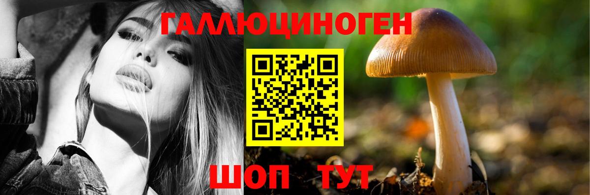 Псилоцибиновые грибы мухоморы Людиново